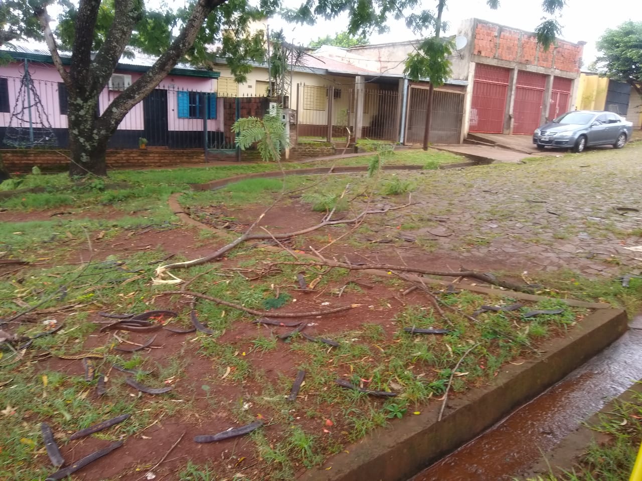 La tormenta provocó caída de árboles y voladura de techos en Posadas