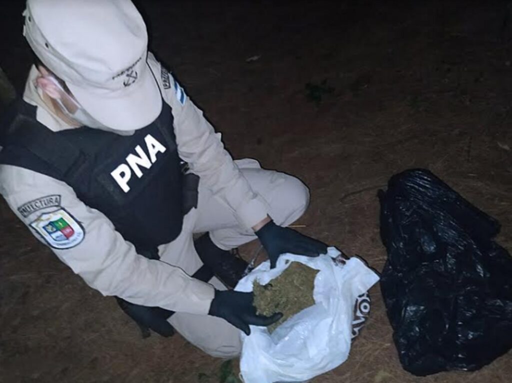 Golpe al narcotráfico en Corpus: secuestraron marihuana valuada en casi un millón de pesos