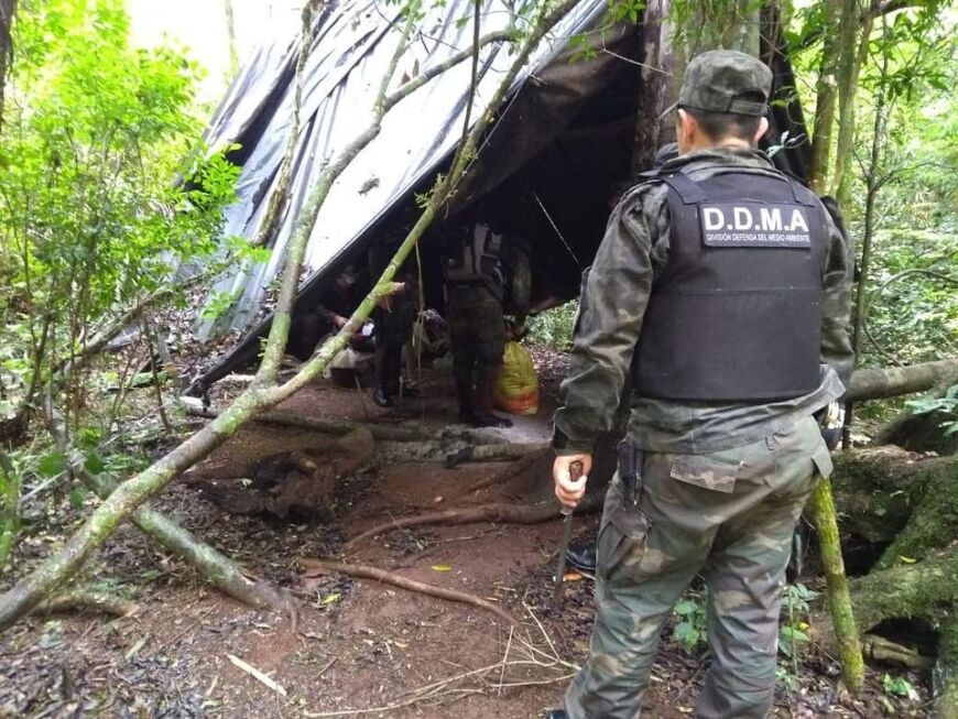 Secuestraron armas de fuego y detuvieron a tres cazadores furtivos en el Parque Provincial Urugua-í