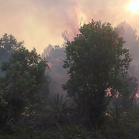 Los focos de incendios se acrecientan en la reserva Yabotí y hay temor en viviendas aledañas