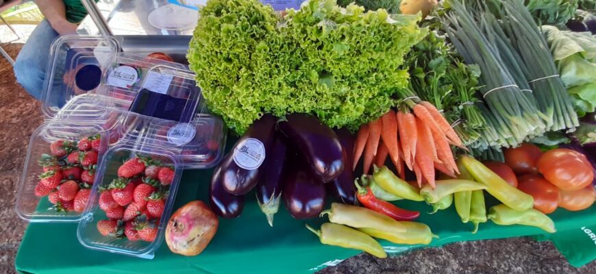 Las ferias francas posadeñas continúan trabajando durante el verano