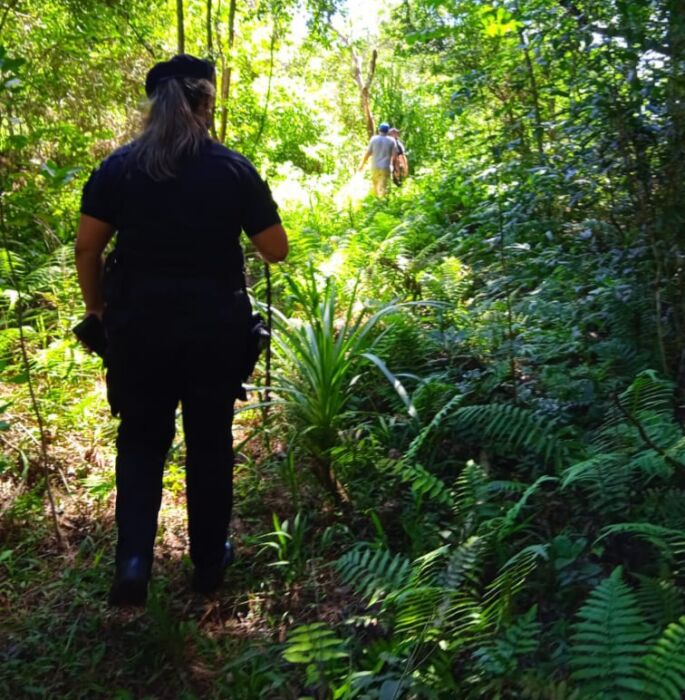 En operativo rural, atraparon a personas cosechando yerba ilegalmente en una propiedad privada