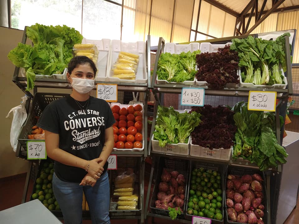 Oberá: conocé las ofertas vigentes hasta el sábado en el Mercado Concentrador