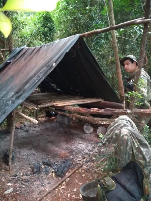 Desarticularon campamentos de cazadores furtivos en la reserva Yabotí