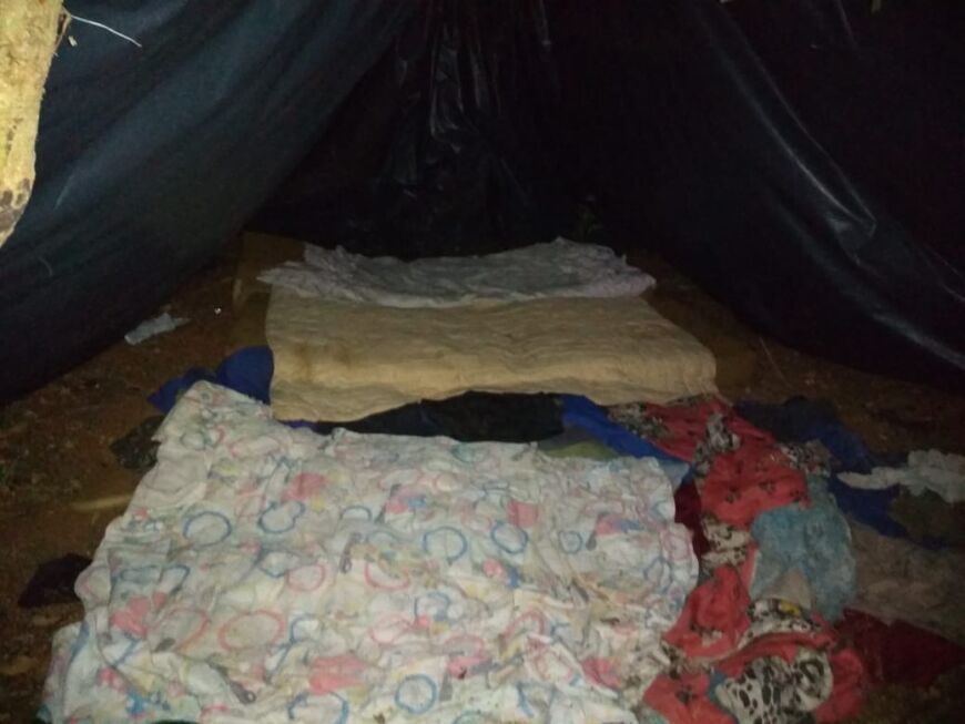 Desarticularon campamentos de cazadores furtivos en la reserva Yabotí